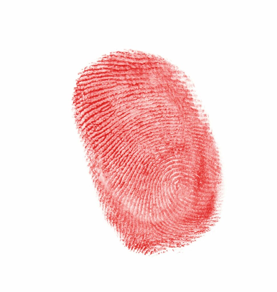 Digitus Project - Red fingerprint