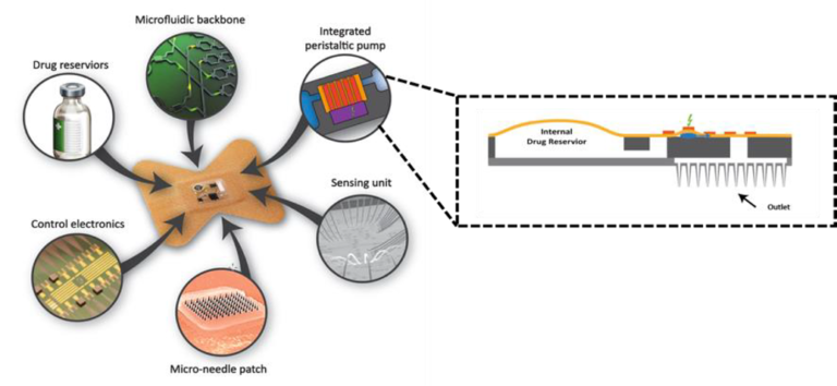 Schematic representation of the Prisma smart patch